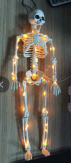 WUJI SOAR GLOBAL TRADING LED Skeleton
